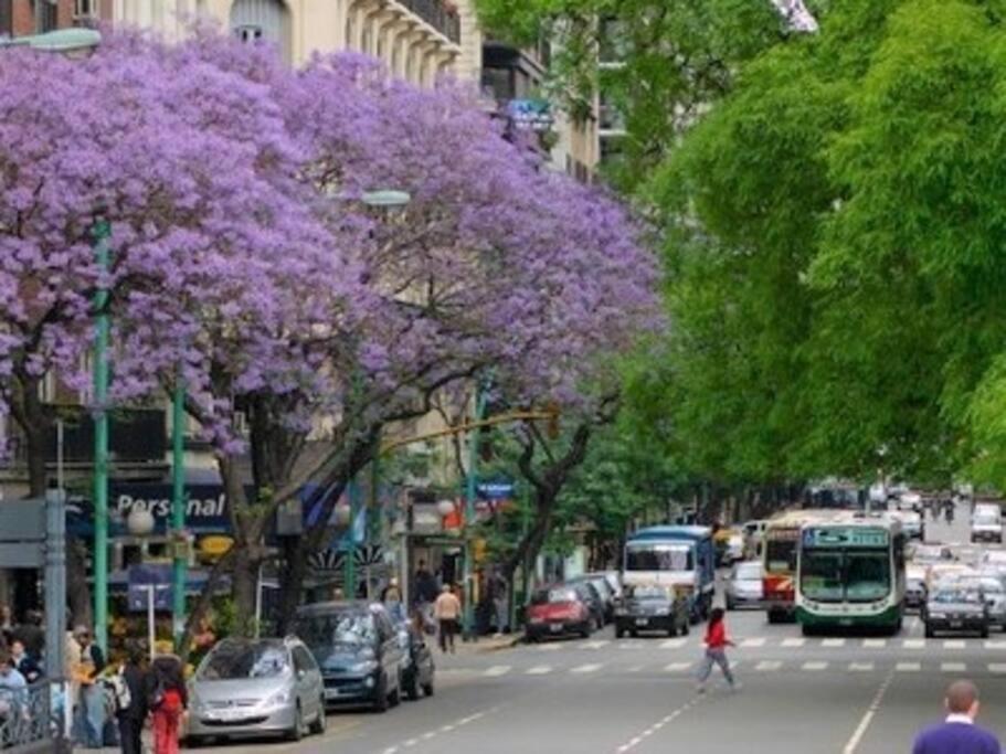 Departamento En Barrio Norte Buenos Aires Ngoại thất bức ảnh